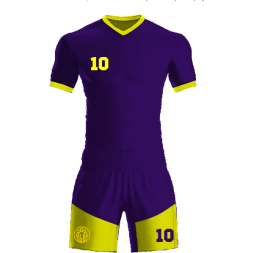 Футбольная форма ЭКИПО - Фиолетово-желтый